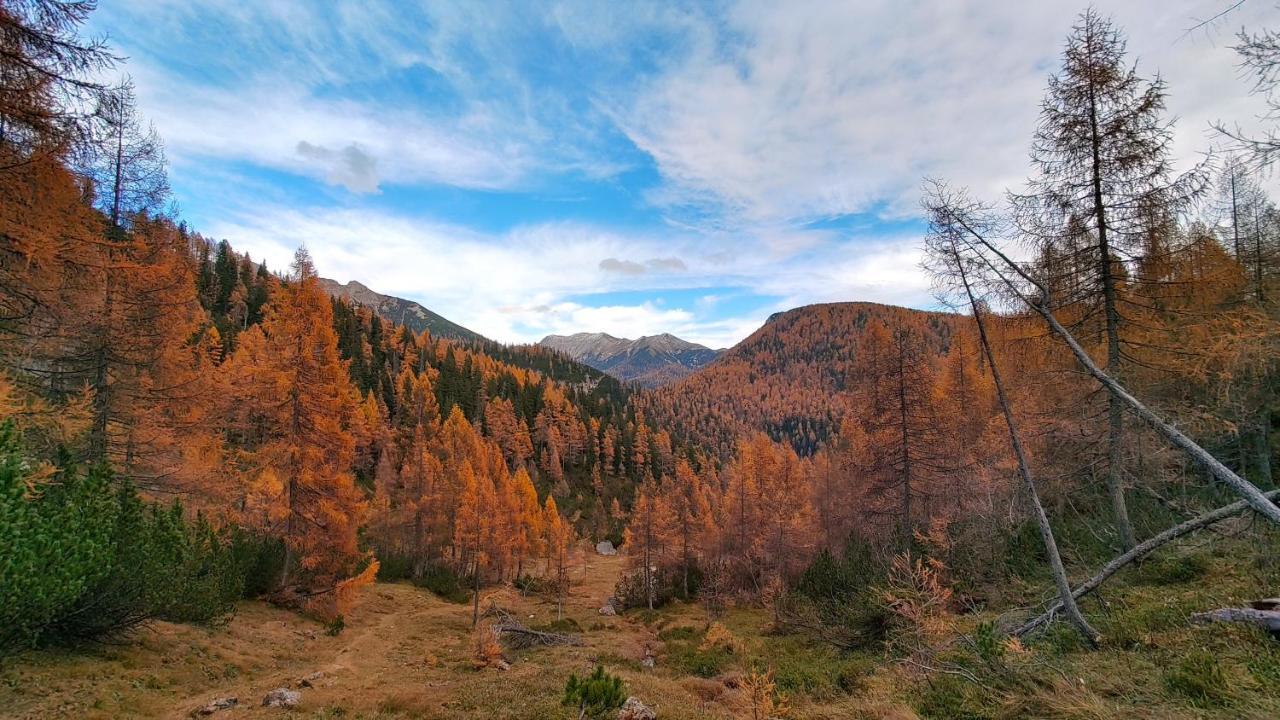 Berglebnis Διαμέρισμα Tauplitz Εξωτερικό φωτογραφία