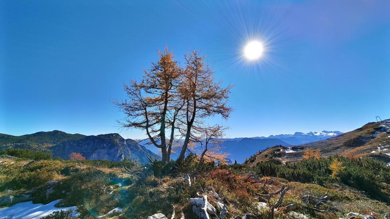 Berglebnis Διαμέρισμα Tauplitz Εξωτερικό φωτογραφία
