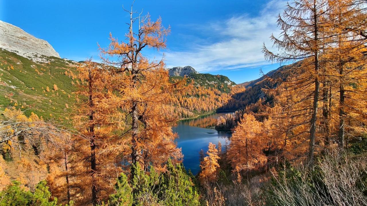 Berglebnis Διαμέρισμα Tauplitz Εξωτερικό φωτογραφία