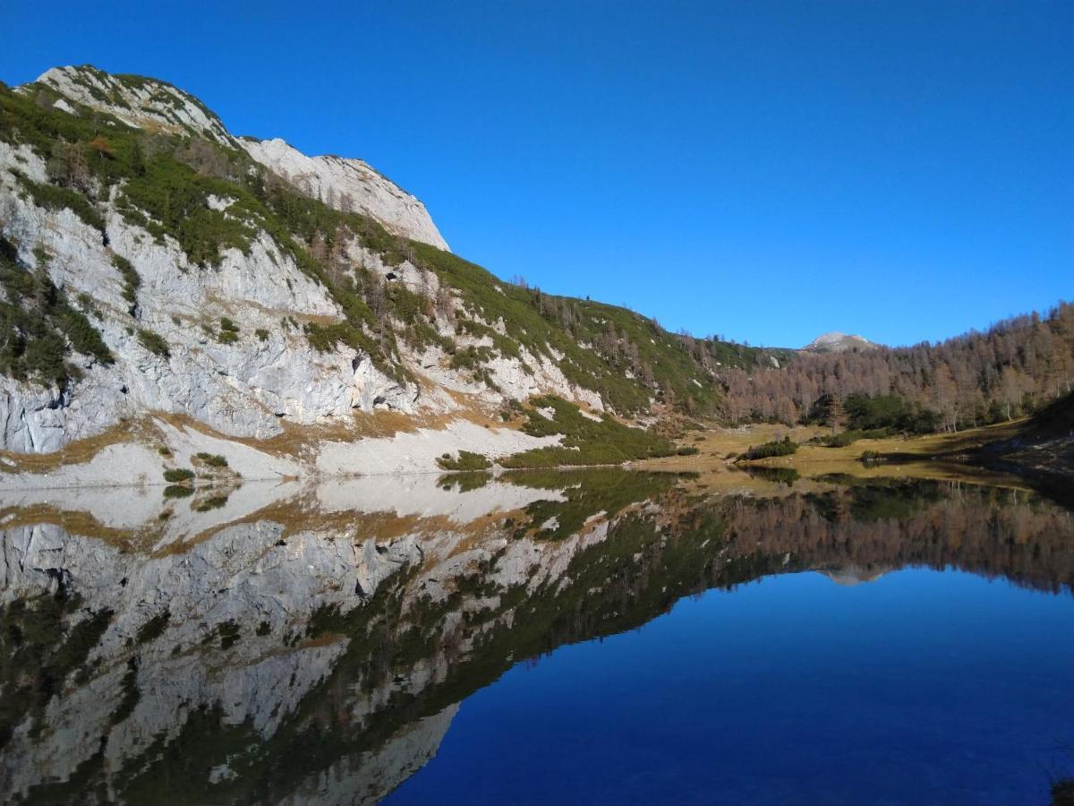 Berglebnis Διαμέρισμα Tauplitz Εξωτερικό φωτογραφία